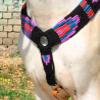 Cheval's International Wool Handmade Western Mohair Breast Collar for Horse Riding Accessories (Multicolor_Pony_Design4) view 4