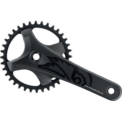 Campagnolo Ekar Gt Crankset Black, 175Mm, 38T