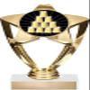 Crown Awards Engrave Now, 6.75" Gold Speed Stacking Tournament Award Shadow Star Trophy 50 Pack view 1