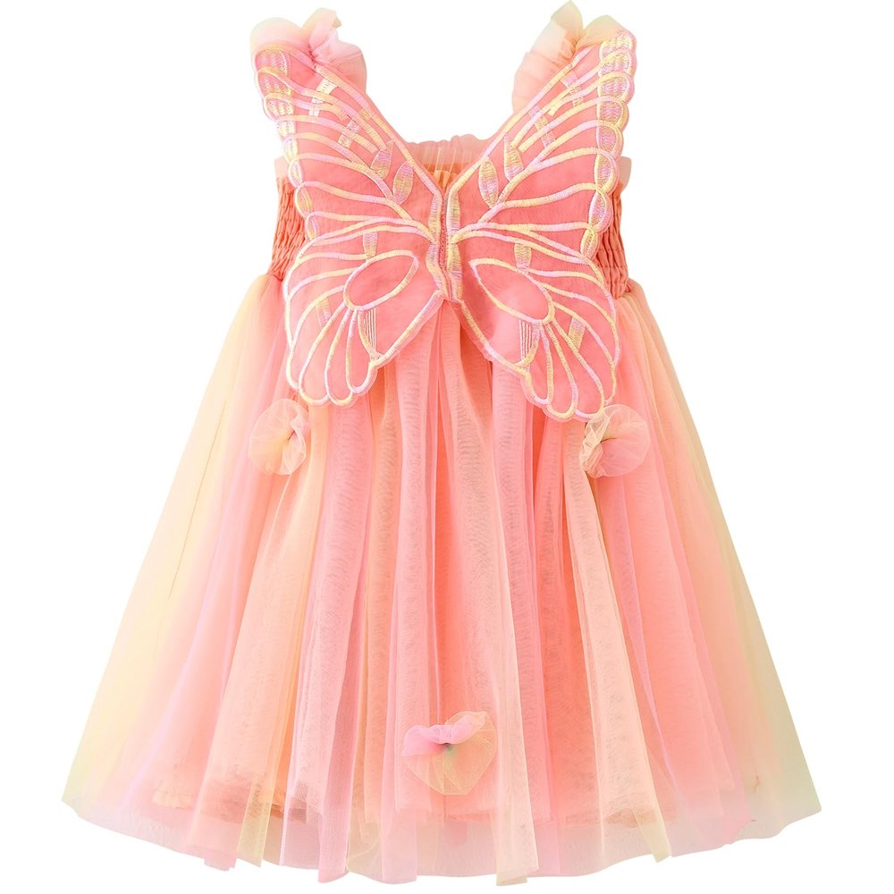 AGQT Baby Girls Tulle Tutu Dress Sleeveless Toddler Butterfly 3D Flower Print Back Girls Dresses Birthday Holiday Wedding Layered Lace Dress Rainbow Pink Size 12-18M