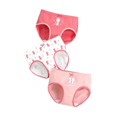 NineFit Basics 3 Pack Kids Toddler Girls Soft Solid Cotton Underwears Cute Cats Pattern Underpants Comfortable (Red, 10-12 Years)
