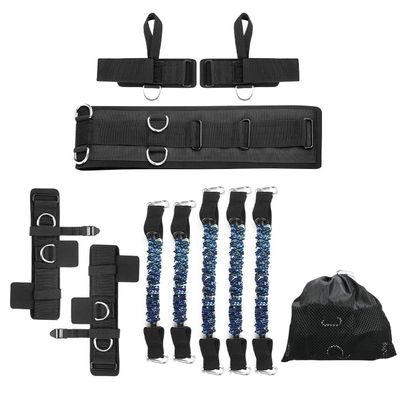 TwirlTide Boxing Resistance Bands Set Speed and Resistance Trainer Bands for Boxing Muay Thai Karate Combat, 150lbs, Blue