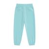 Boys 2 Pieces Sweatsuits Pullover Hoodie and Sweatpants Girls Fashion Tracksuit Set Birthday Gift for Kids (Blue,4 Years) view 3