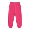 Boys 2 Pieces Sweatsuits Pullover Hoodie and Sweatpants Girls Fashion Tracksuit Set Birthday Gift for Kids (Rose,3 Years) view 3