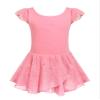 Arshiner Ballet Leotards for Girls Ballet Leotard with Skirt Flutter Sleeve Toddler Dance Outfits Pink 2-3T