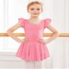 Arshiner Ballet Leotards for Girls Ballet Leotard with Skirt Flutter Sleeve Toddler Dance Outfits Pink 2-3T view 2