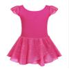 Arshiner Ballet Leotards for Girls Ballet Leotard with Skirt Toddler Flutter Sleeve Dance Dress Rose Red 2-3T view 1