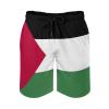 Adugen Origei Palestine Flag Shorts Surf Men's Beach Swim Trunk L view 3