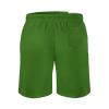 Adugen Origei Men's Printed Beach Pakistan Flag Shorts S view 3