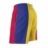 Adugen Origei Romanian Flag Shorts Surf Men's Beach Swim Trunk S view 4