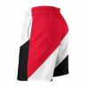 Adugen Origei Sealand,Principality of Flag Shorts Surf Men's Beach Swim Trunk L view 4