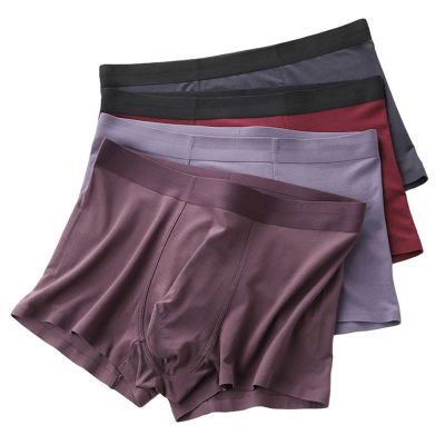 ALEPXS Safety Certification Mens Underwear Boxer Briefs, Comfortable, Highly Elastic and Breathable with U Convex Pouch Pack of 4(Size:XL-XLarge)