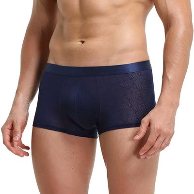 ALEPXS Safety Certification 3 Pack Men Boxer Briefs Shorts Soft Underpants See-Through Translucent Sexy Underwear Trunk for Man(Color:Blue,Size:Medium)