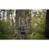 SPYPOINT Flex-M Solar Bundle - Cellular Trail Camera with Solar Panel, Best in Hunting Accessories, No WiFi Needed, GPS, Night Vision, Motion Activated, Dual-Sim LTE, IP65 Water-Resistant Game Camera view 2