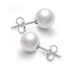 10/12mm Ocean Shell Pearl Stud Earrings Multicolor Shell Beads Pearl Stud Earrings Fashion Jewelry for Women-12MM White view 1