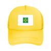 Bandeira Do Distrito Federal (Brasil) Baseball Cap Women Men Mesh Back Hat Adjustable Trucker Hats Sun Hat view 2