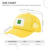 Bandeira Do Distrito Federal (Brasil) Baseball Cap Women Men Mesh Back Hat Adjustable Trucker Hats Sun Hat view 4