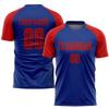 Personalized Soccer Jerseys Mens, Custom Blue Red Football Uniforms with Team Logo Number Name Printed, Design Sports T-Shirts and Shorts Sets for Adults Youth Boys Women view 2