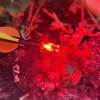 XHYCKJ 6PCS G Led Lighted Nocks for Arrows with .165" Inside Diameter,Screwdriver Included view 3