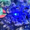 XHYCKJ 6PCS G Led Lighted Nocks for Arrows with .165" Inside Diameter,Screwdriver Included view 3