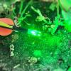 XHYCKJ 6PCS H Led Lighted Nocks for Arrows with .233" Inside Diameter,Screwdriver Included view 3