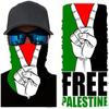 4 Palestinian Flag Bandana Set Include 2 Palestinian Flag Scarves Riding Balaclava Face Mask, 2 Palestinian Flag Headbands (Style 2) view 2