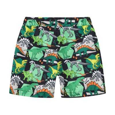 Betadog Boys Girls Shorts Fashion Summer Beach Shorts Kids Swim Trunk Swimsuit Dinosaur Boys (Green, 3-4 Years)