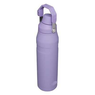 RBSKJ 304 Stainless Steel Insulation Cup arge Capacity Outdoor Portable ice Cow Cup Double Vacuum Handle Insulation Cup(Color:Lavender,Size:25oz)