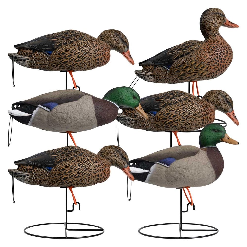 Hardcore Waterfowl Rugged Series Full Body Mallard Decoys