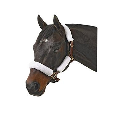 212 Main Halter Kit Green