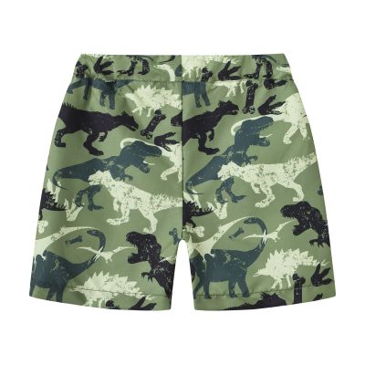 Betadog Boys Girls Shorts Fashion Summer Beach Shorts Kids Swim Trunk Swimsuit Dinosaur Boys Waistband (AG, 8-9 Years)