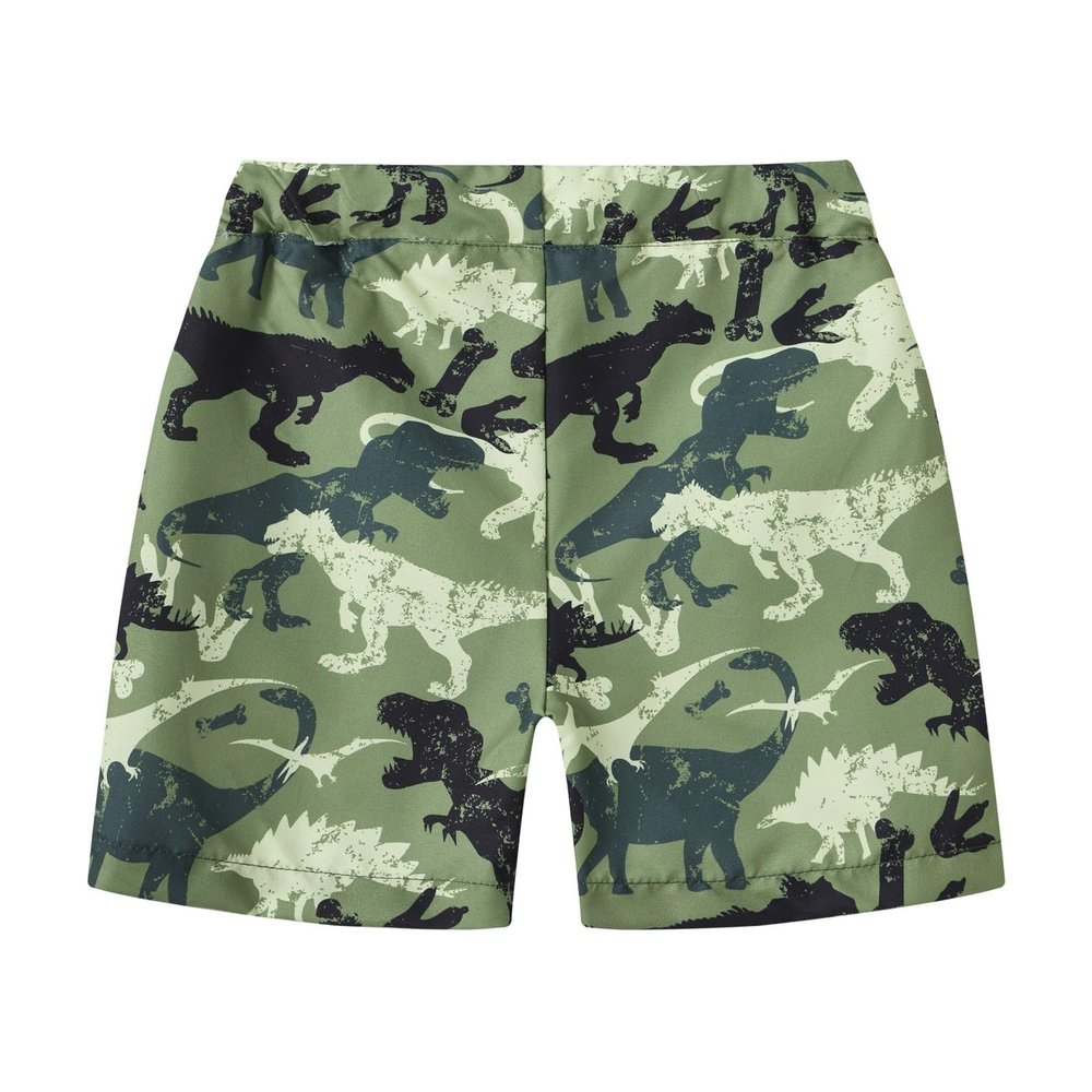 Betadog Boys Girls Shorts Fashion Summer Beach Shorts Kids Swim Trunk Swimsuit Dinosaur Boys Waistband (AG, 8-9 Years)