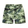 Betadog Boys Girls Shorts Fashion Summer Beach Shorts Kids Swim Trunk Swimsuit Dinosaur Boys Waistband (AG, 8-9 Years) view 1