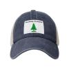 an Appeal to Heaven Flag Baseball Cap Women Men Mesh-Back Hat Retro Trucker Hats Sun Hat view 2