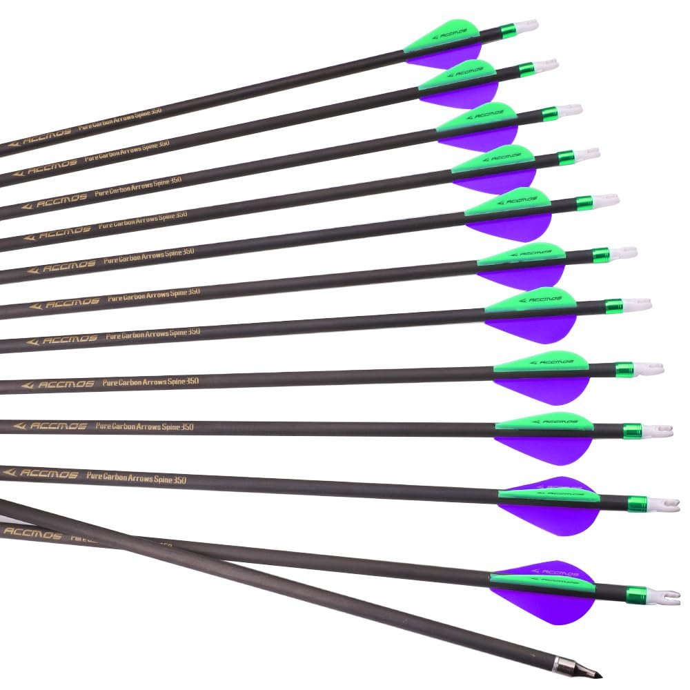 ACCMOS 12pc 28-Inch Spine-400 Arrow Removable Tips Targeting Hunting Arrow Plastic Fletching 2 Inch Vane Carbon Arrows for Compound Bow Recurve Bow Adult Youth Archery Purple Green
