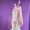 Sweeoty Polipo Womens Anime Cosplay Bikini Lolita Kawaii Bra and Panty Set Japanese Underwear Stocking view 2