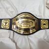 HANDSY Customized Cornhole Championship Belt - Ultimate Cornhole Trophies and Awards - Perfect for Cornhole Champions and Tournament Prizes (4mm Brass) view 3