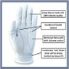 STFU Funny Men's Golf Glove - Premium 100% Cabretta Leather Shocker Golf Gloves, Golf Attire and Essentials for Men, Fun Golfer Gag Gift, Adult Right or Left Hand, Small to XXL Sizes view 3