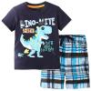AMIMOJY deals of the day clearance Baby Boys Summer Clothes Child Dinosaur Cartoon Prints T Shirt Short Sleeve Tops Casual Pants Cotton Outfit Set 35Pcs baby and me outfits girl, C-blue view 1