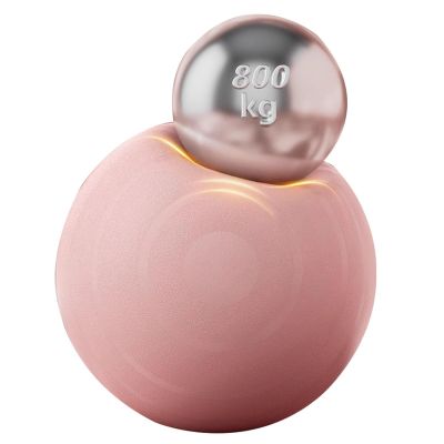 WJIHUYU Exercise Ball, Thick Anti-Slip & Anti-Burst Yoga Pilates Ball Fitness Balance Ball with Air Pump Suitable for Pregnancy Birthing Physical Therapy and Core Balance Training,