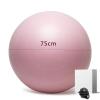 WJIHUYU Exercise Ball, Thick Anti-Slip & Anti-Burst Yoga Pilates Ball Fitness Balance Ball with Air Pump Suitable for Pregnancy Birthing Physical Therapy and Core Balance Training, view 2