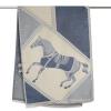 EXTREE Scarfs for Women Pashmina Silky Shawl Wrap for Evening Dressing Blanket Open Front Poncho Cape view 4