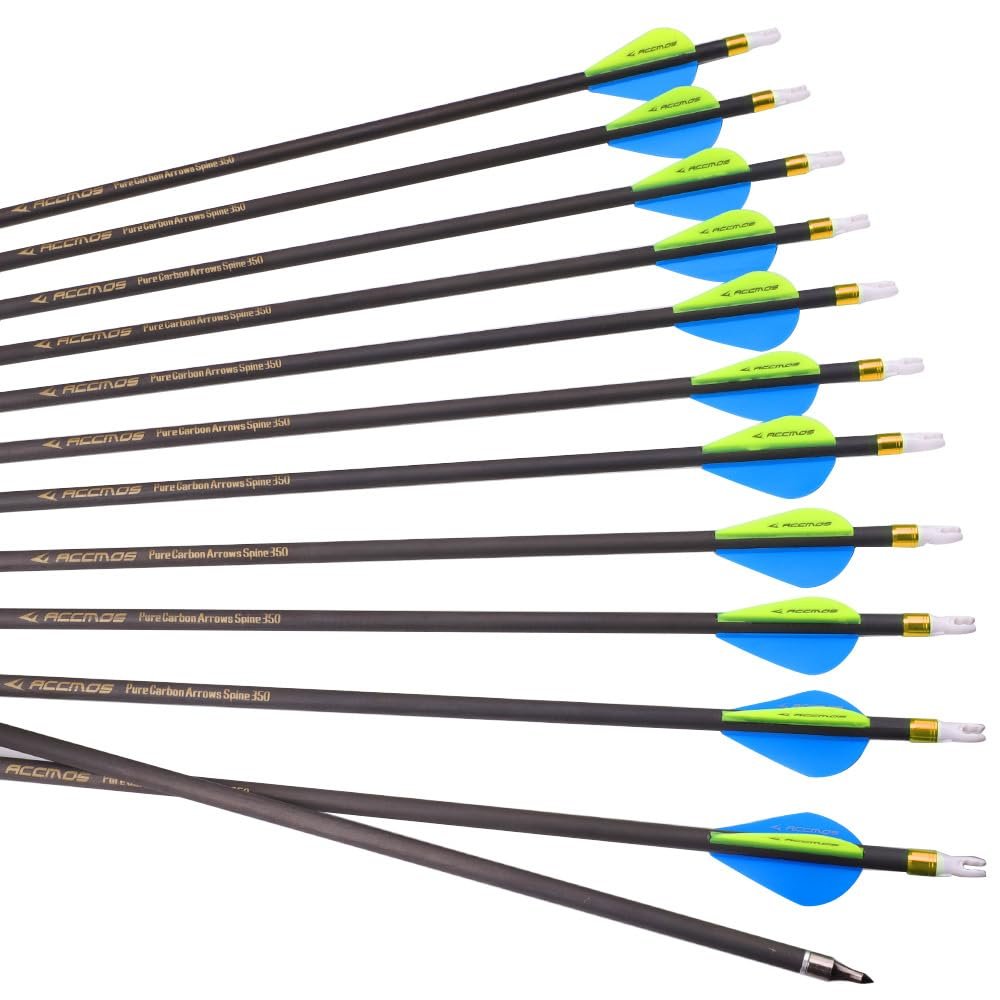 ACCMOS 12pc 30-Inch Spine-300 Arrow Removable Tips Targeting Hunting Arrow Plastic Fletching 2 Inch Vane Carbon Arrows for Compound Bow Recurve Bow Adult Youth Archery Blue Yellow