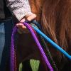Parelli 22 Foot Line Ground Training Rope - Strong Everyday Use All-Purpose Large Horse Lead Rope with Loop & Latigo Popper | 9/16" Diameter Smooth Yachting Braid, Vaquero view 4