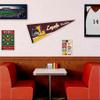 Loyola Chicago Ramblers Pennant Flag view 3