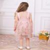 OBEEII Toddler Baby Girl Butterfly Dress Ruffle Sleeve 3D Embroidered Butterflies Tulle Princess Dress Flower Girl Wedding Formal Pageant Birthday Party Dress Peach Pink 18-24 Months view 4
