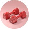 Fitness Dumbbells Lady Beginner Pair Of Small Dumbbells Yoga Aerobics Auxiliary Dumbbells Home Leisure Sports Equipment Dumbbells Free Weights Dumbbells Set (Red 1.5kg*2) view 1