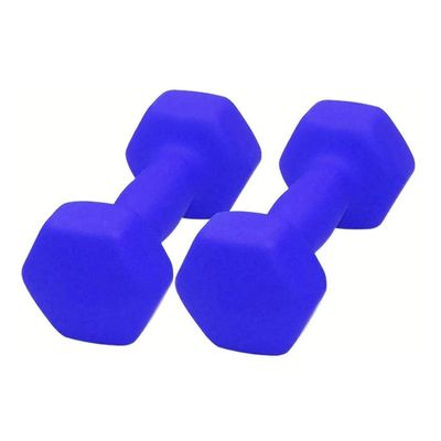 2pcs Hex Dumbbell Female and Men's Beginner Aerobics Bodybuilding Fitness Equipment Home Gym Sporting Goods Exercise Arm Pilates Yoga Weight Lose Thin Arm Non-Slip Dumbbe (Blue 6KG*2)