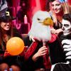 CAKEEYUM Eagle Mask Safe Latex Bald Eagle Costume Breathable Funny Bird Mask Realistic Elastic Halloween for Christmas, Easter, Carnival, Masquerade view 4