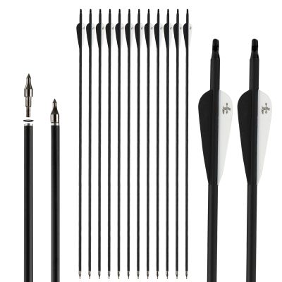 30 inch Carbon Arrow Practice Hunting Arrows Spine 500 for Compound & Recurve Bow(Pack of 12)